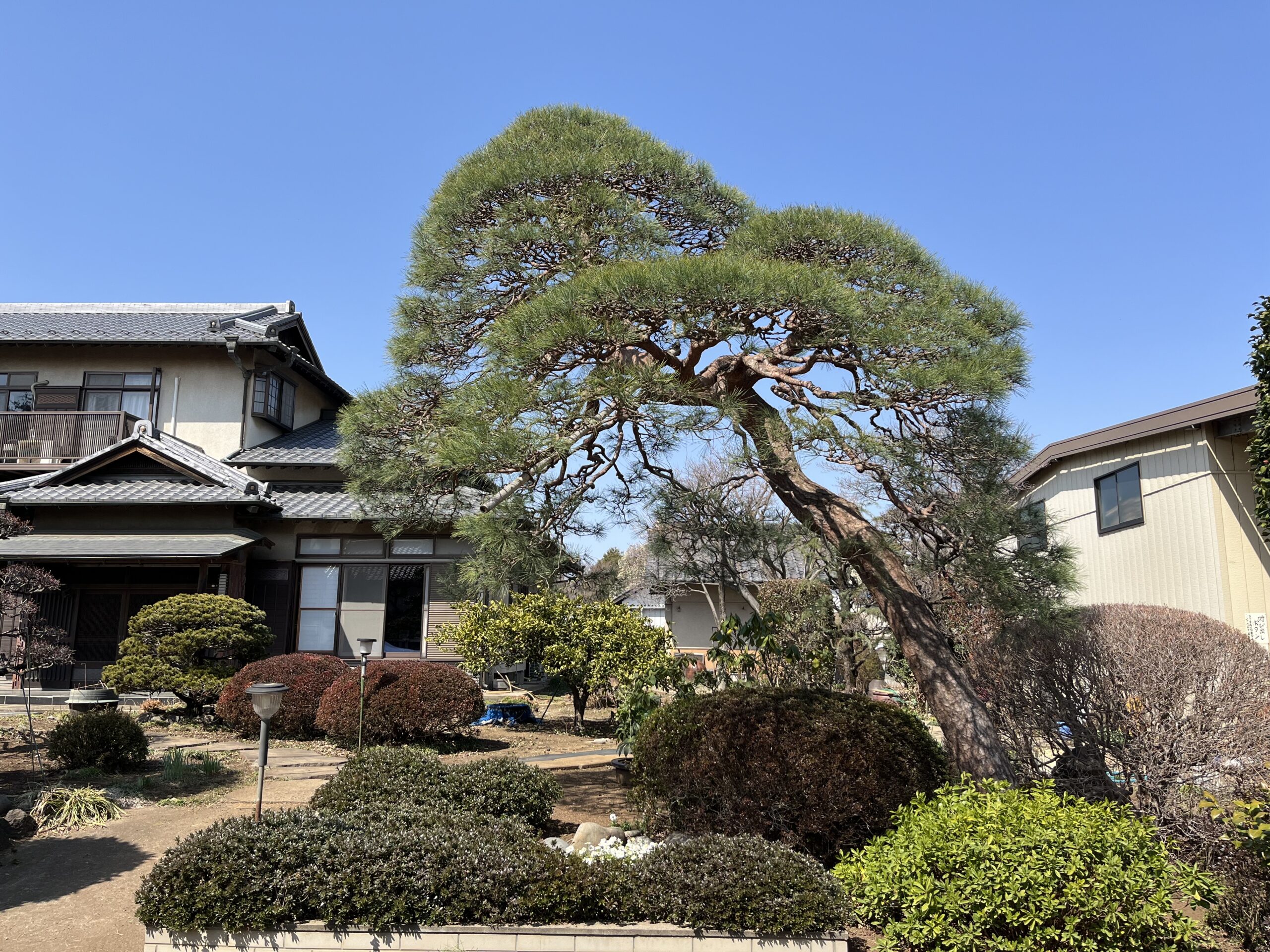 個人邸（赤松・モチ）