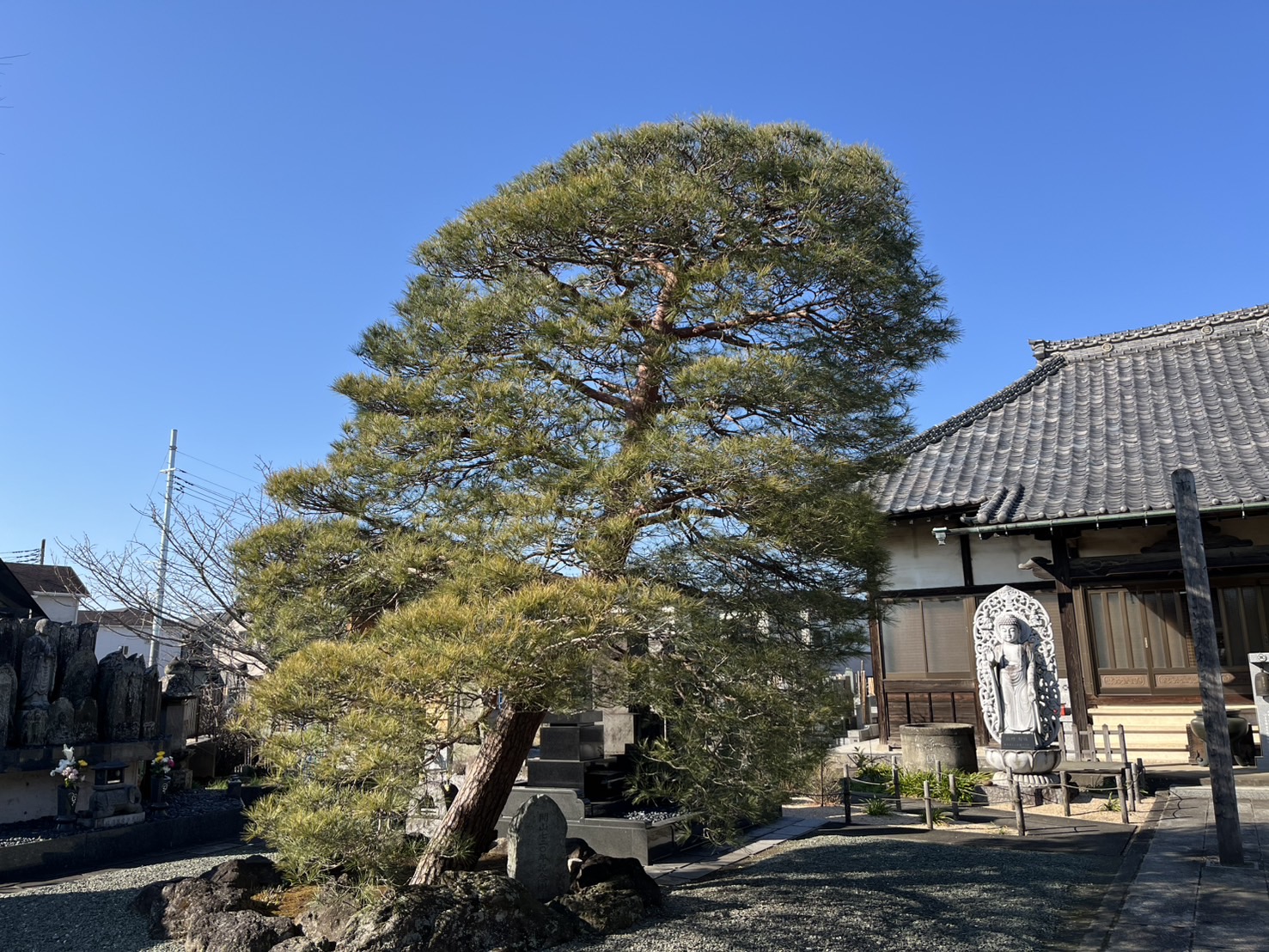 寺院様植栽管理業務